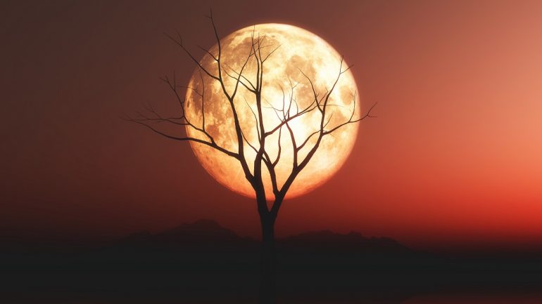 3D landscape with old tree against a red moonlit sky
