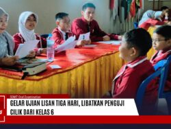 af6543e5-5d7e-46ec-9dff-689ddf44d5fd_11zon (2)